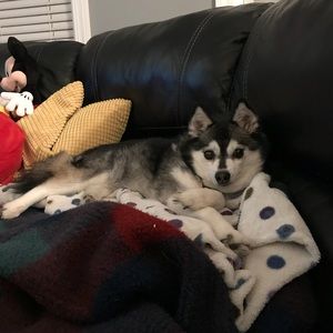 Meet your Posher, Emily